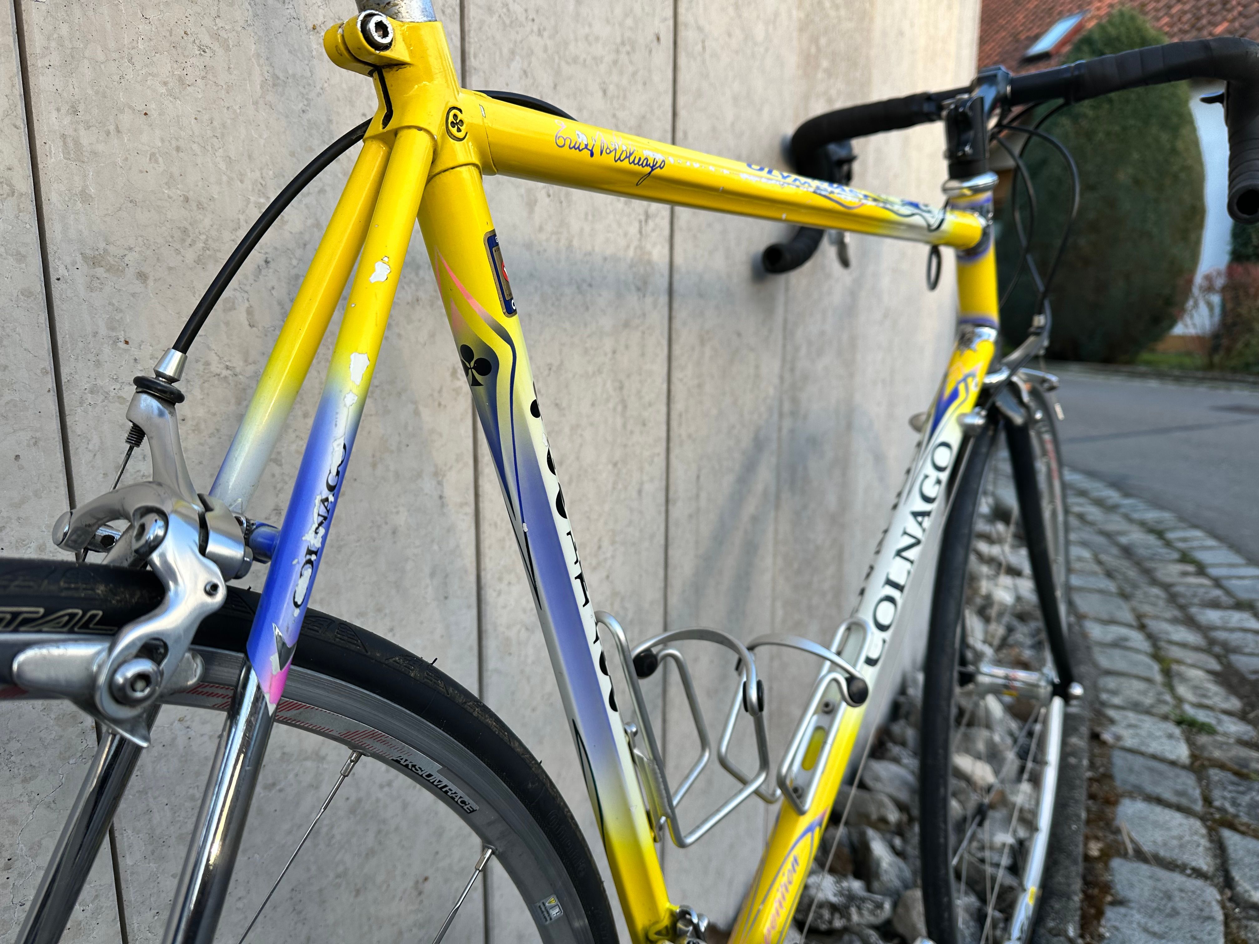 Colnago Olympic Bike Supply Colnago Master Olympic Art Decor 58 Cm 