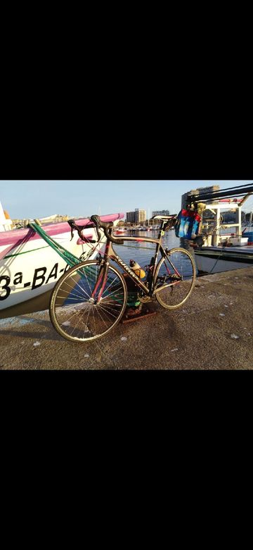 Used Wilier Triestina 2014 Road & Gravel, Black — image 3 of 4