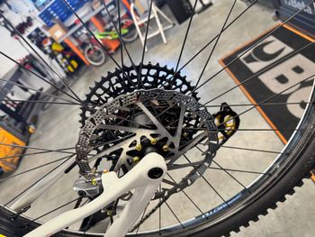 Gebrauchtes Mondraker NEAT RR 2024 2024 Mountainbike, Weiß, 29 — Bild 4 von 9