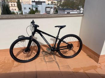 Used Cannondale Trail 7 2021 2021 Mountainbike, Black, 29 — image 1 of 5