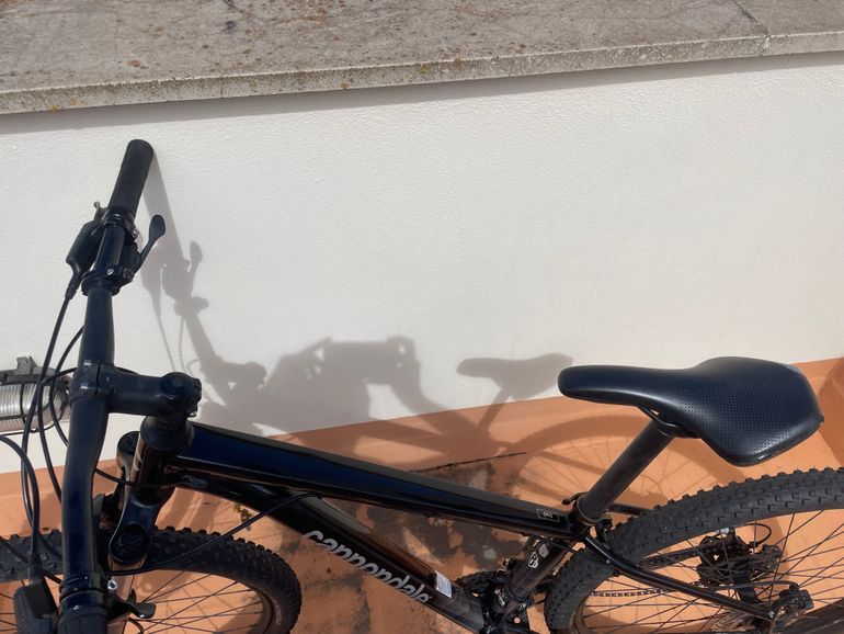Used Cannondale Trail 7 2021 2021 Mountainbike, Black, 29 — image 3 of 5