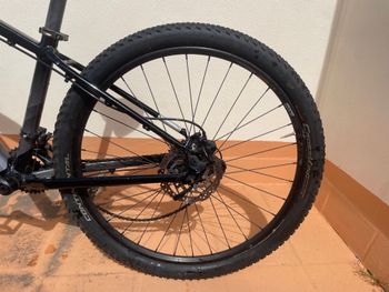 Used Cannondale Trail 7 2021 2021 Mountainbike, Black, 29 — image 4 of 5