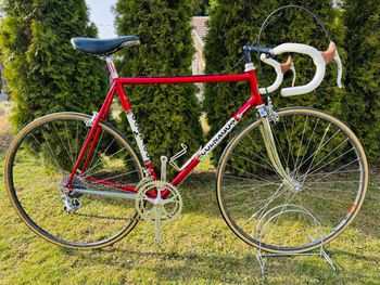 Colnago, Super Profil Campagnolo 50th