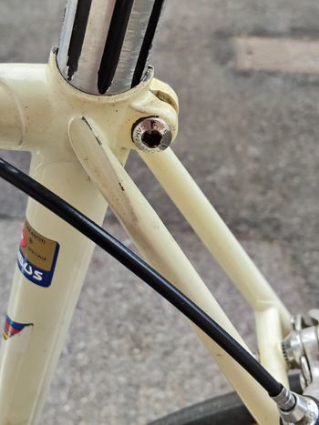Colnago Super Saronni 2000 Road & Gravel d'occasion — image 27 sur 37