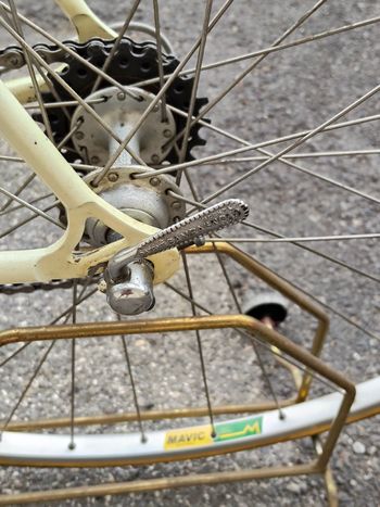 Colnago Super Saronni 2000 Road & Gravel d'occasion — image 26 sur 37