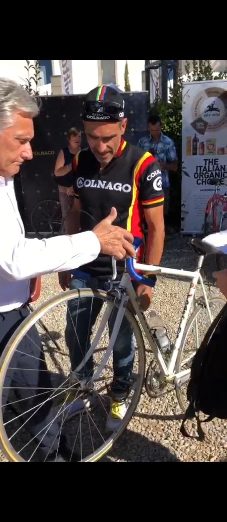 Colnago Super Saronni 2000 Road & Gravel d'occasion — image 3 sur 37