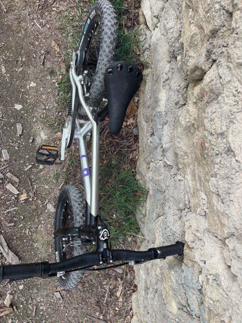 Used Early Rider early rider 16 pouces 2023 Mountainbike, Light Gray — image 4 of 4