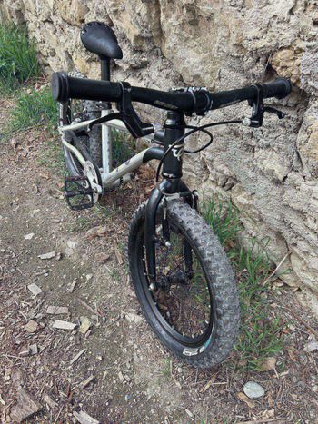 Used Early Rider early rider 16 pouces 2023 Mountainbike, Light Gray — image 2 of 4
