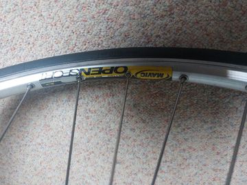 Used Colnago C40 SUPERISSIMO 1992 Road & Gravel, Light Gray — image 14 of 22