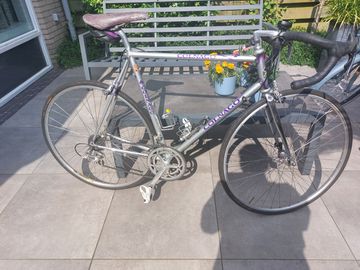 Used Colnago C40 SUPERISSIMO 1992 Road & Gravel, Light Gray — image 22 of 22
