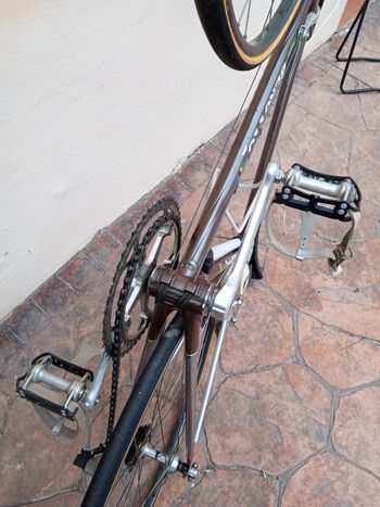 Benotti, Corsa