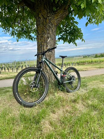 Commencal META HT SRAM X01 Eagle 2022 Mountainbike d'occasion — image 7 sur 10