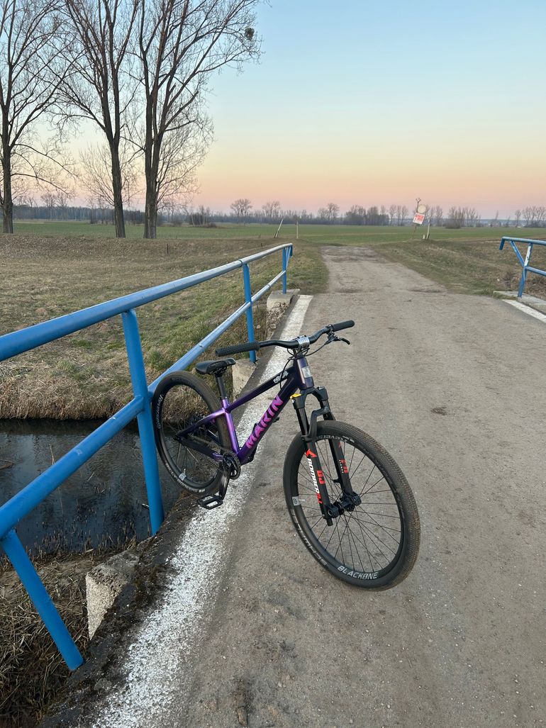 Used Marin Alcatraz 2 2025 2025 Mountainbike, Purple, 26 — image 3 of 4