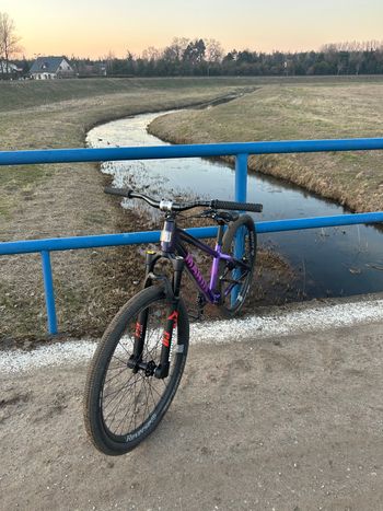 Used Marin Alcatraz 2 2025 2025 Mountainbike, Purple, 26 — image 4 of 4
