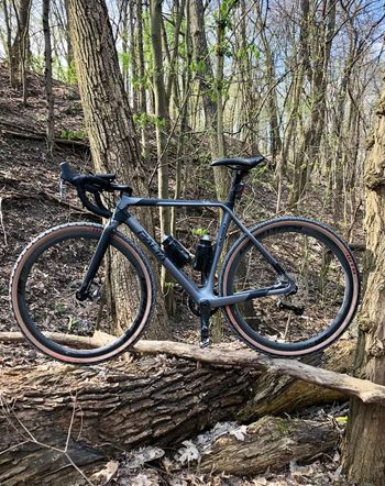 Used Basso Palta 2018 Road & Gravel, Light Gray — image 6 of 6