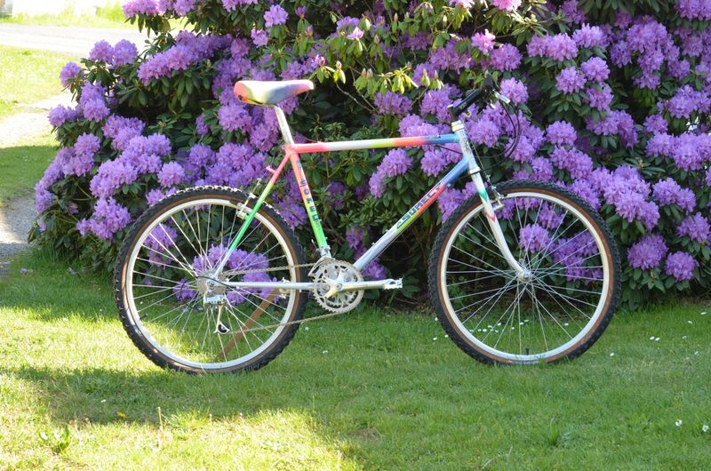Somec Campagnolo Record 1991 Mountainbike usato, Bianco — immagine 18 di 18