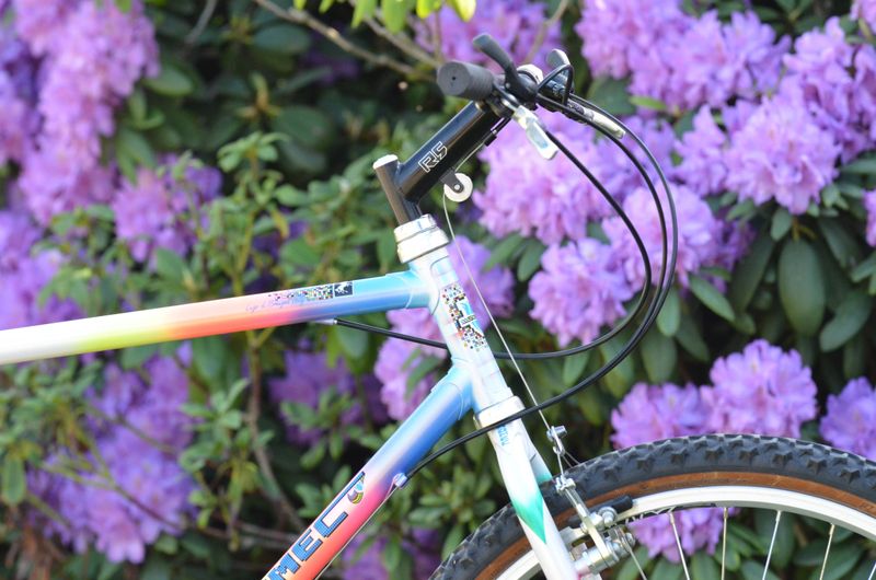 Somec Campagnolo Record 1991 Mountainbike usato, Bianco — immagine 16 di 18
