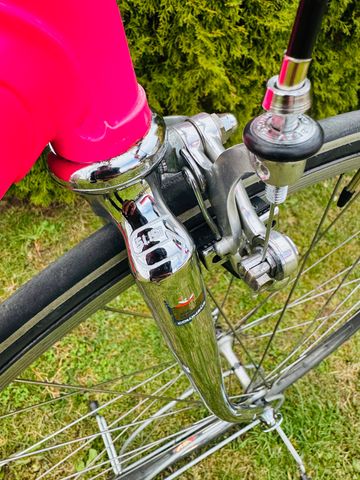 Other Brands F.Moser Team SLX 1985 Road & Gravel usato, Viola — immagine 7 di 18