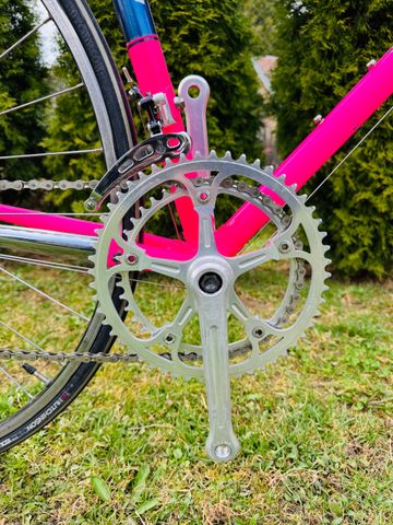 Other Brands F.Moser Team SLX 1985 Road & Gravel usato, Viola — immagine 2 di 18