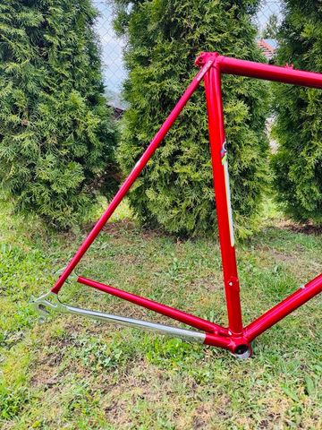 Gebrauchtes Colnago Super Frameset 1985 Road & Gravel, Rot — Bild 16 von 18