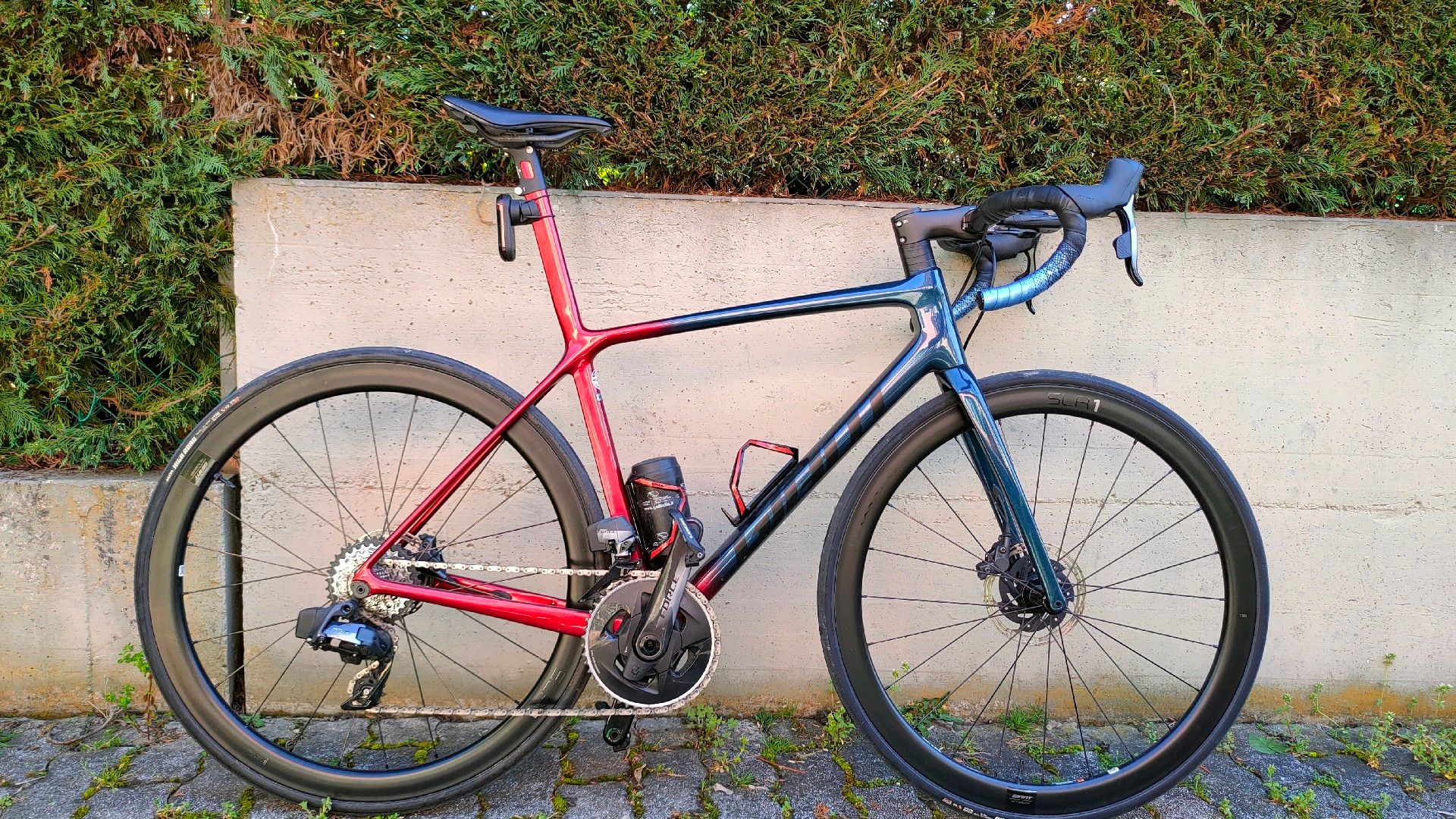 Giant TCR Advanced, SL Disc 2021 2021