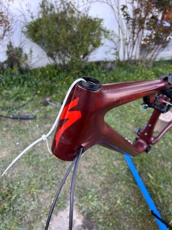 Used Specialized Epic EVO Expert 2023 Frameset 2023 Mountainbike, Black, 29 — image 2 of 10