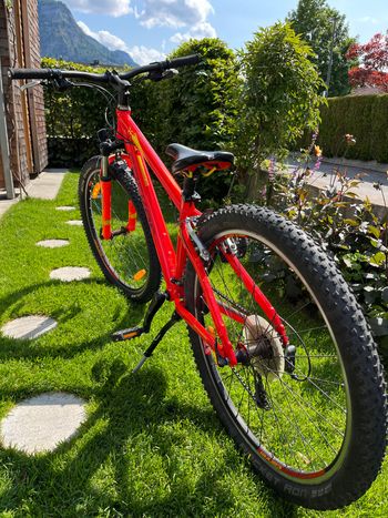 Carver, 26 Zoll Carver Hardtail für die City