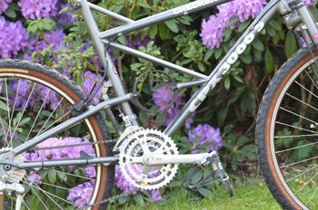 Used CHECKER PIG Checker Pig CPX 3066 S 1991 Mountainbike, Hellgrau — image 14 of 20