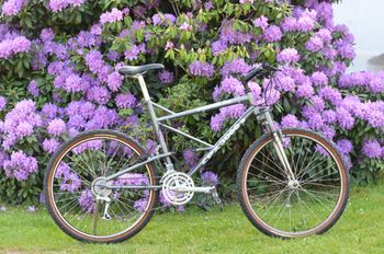 Used CHECKER PIG Checker Pig CPX 3066 S 1991 Mountainbike, Hellgrau — image 13 of 20