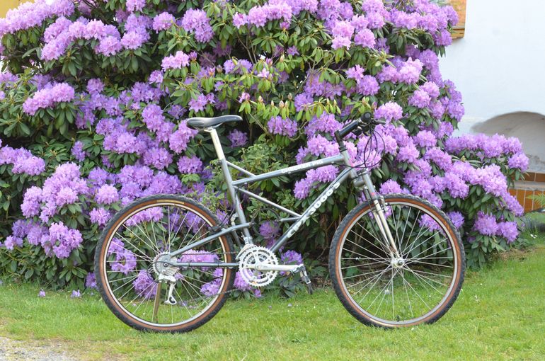 Used CHECKER PIG Checker Pig CPX 3066 S 1991 Mountainbike, Hellgrau — image 12 of 20