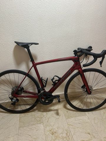 Used Sensa Giulia Evo Disc Ultegra Special 2023 2023 Road & Gravel