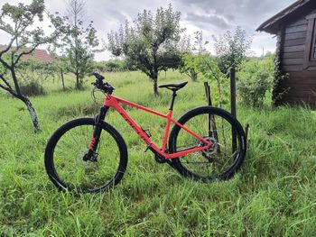 Focus Raven 2021 Mountainbike usato, Rosso — immagine 9 di 9