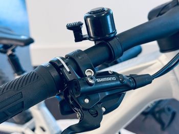 Scott Genius 940 2024 2024 Mountainbike usato, Grigio chiaro — immagine 14 di 21