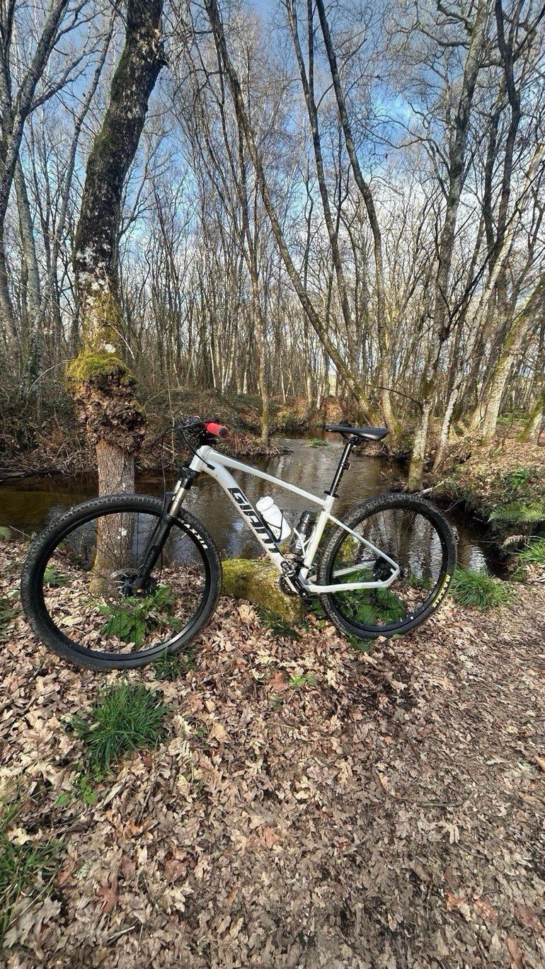 Used Giant Talon 2 2021 2021 Mountainbike, Light Gray, 27.5, 29 — image 4 of 7