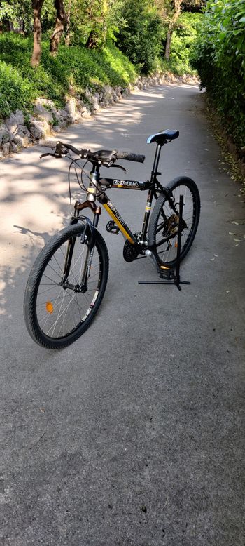 Used Univega Alpina sport 2008 Mountainbike, Hellgrau — image 3 of 5