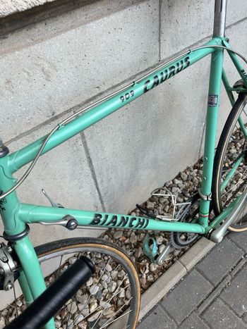 Used Bianchi caurus 2000 Road & Gravel, Green — image 7 of 7