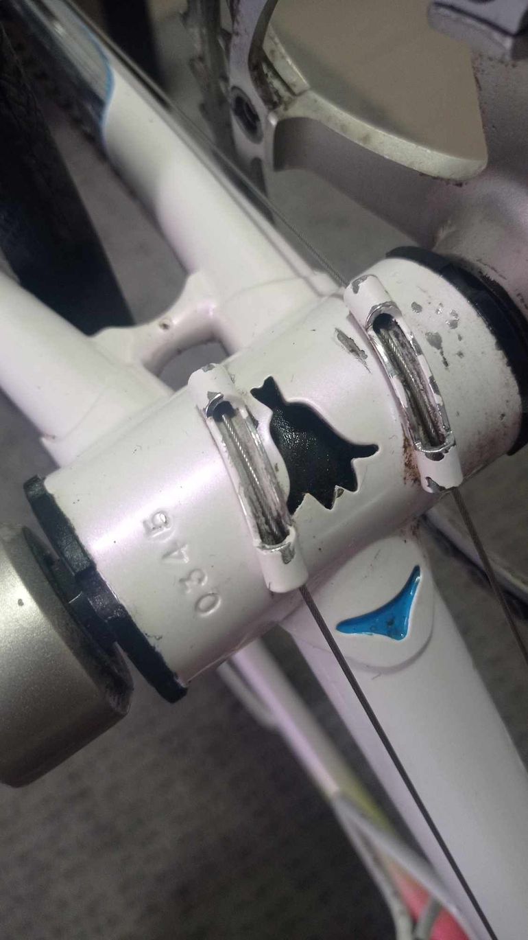Used Somec Elite SL 1986 Road & Gravel, White — image 7 of 7