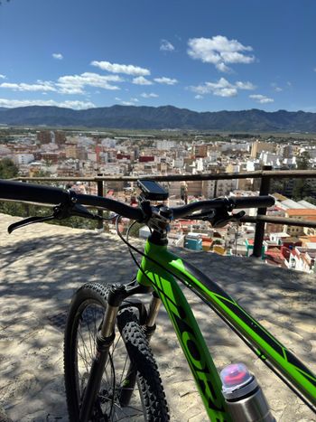 Used Orbea MX 10 29 2015 Mountainbike, Green — image 2 of 7