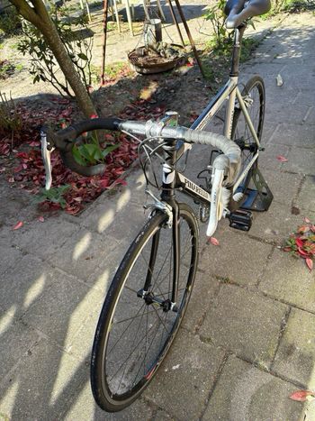 Used Pinarello Surprise 2001 Road & Gravel, Light Gray — image 2 of 3