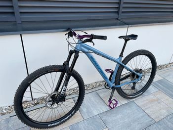 Nukeproof, Scout 290  2022