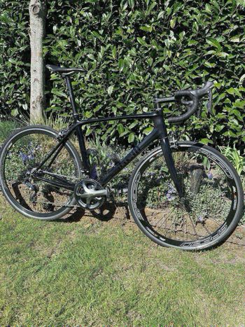 Cinelli, Seatta Radical Plus 2015