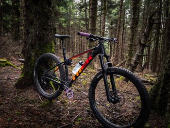 Used Trek Roscoe 8 2020 2020 Mountainbike, Black, 27.5 — image 1 of 5