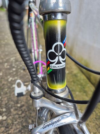 Used Colnago Master Olympic 1990 Road & Gravel, Purple — image 2 of 19
