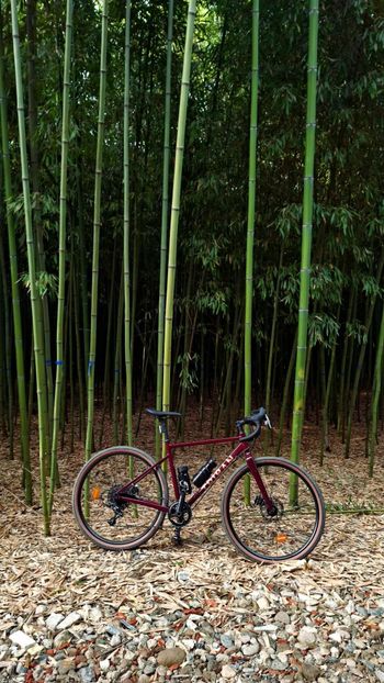 Used TRIBAN Gravel bike SRAM Apex 2024 Road & Gravel — image 1 of 3