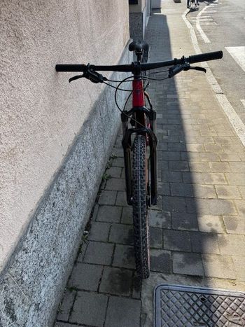 Used R RAYMON HardRay 7.0 2024 2024 Mountainbike, Red, 29 — image 4 of 5