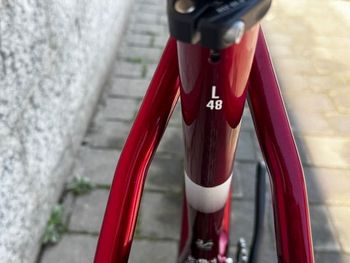 Used R RAYMON HardRay 7.0 2024 2024 Mountainbike, Red, 29 — image 5 of 5
