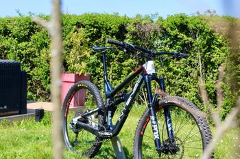 Used Intense PRIMER 29 Expert 2021 2021 Mountainbike, Blue, 29 — image 2 of 15