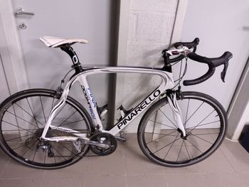 Used Pinarello Dogma 60.1 2014 2014 Road & Gravel, White — image 7 of 7