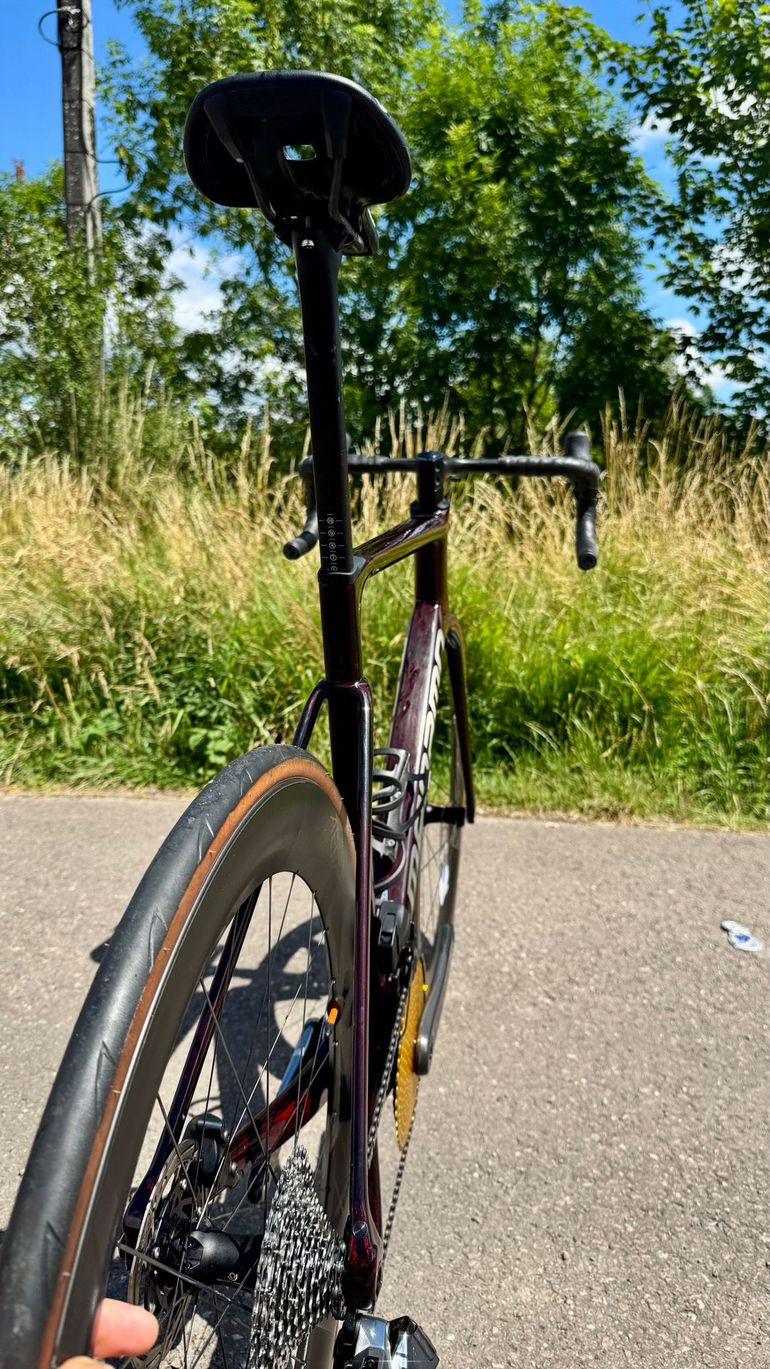 Brugt Megamo PULSE ELITE 00 AXS 2024 2024 Road & Gravel — billede 6 af 13