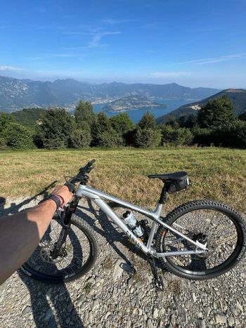 Used Canyon Stoic 4 2024 2024 Mountainbike, Light Gray, 27.5, 29 — image 2 of 4